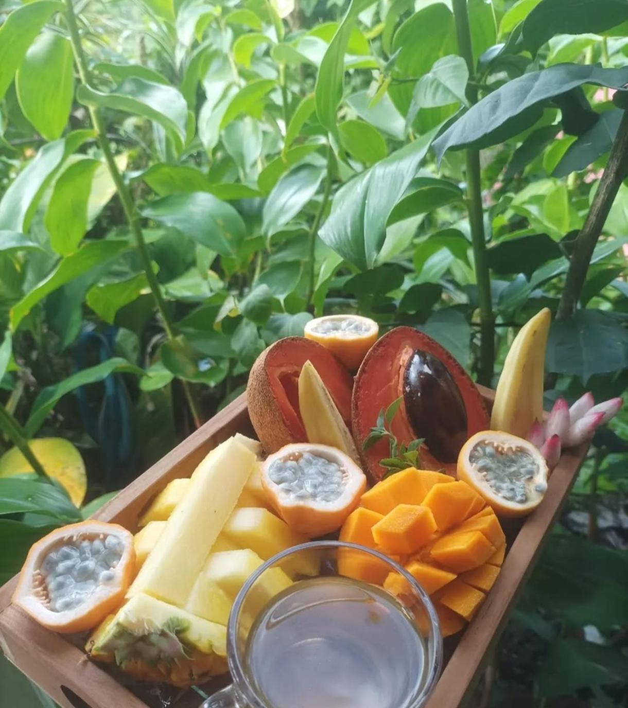 Camping A La Ferme Gros-Morne Luaran gambar
